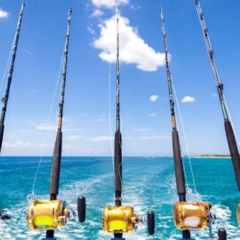 Fishing in Southwest Florida