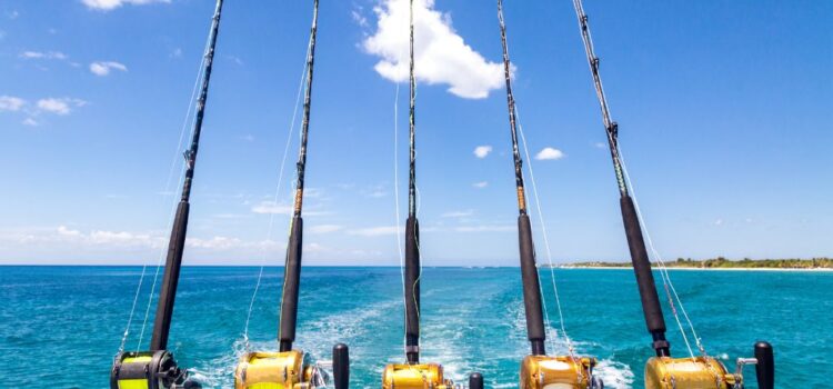 Fishing Southwest Florida